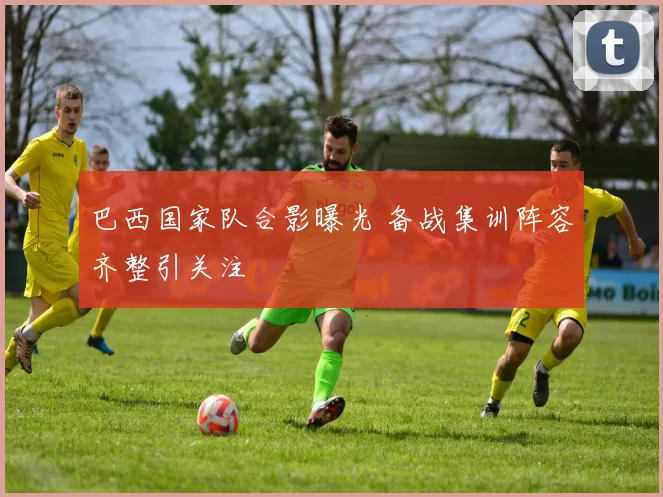 巴西国家队合影曝光 备战集训阵容齐整引关注