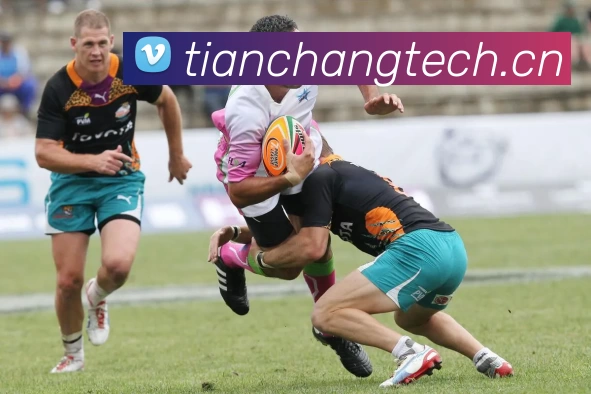 zoty中欧·(中国有限公司)官方网站服务体系